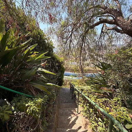Villa Vue Avec Piscine, Centre à Pieds Le Lavandou
