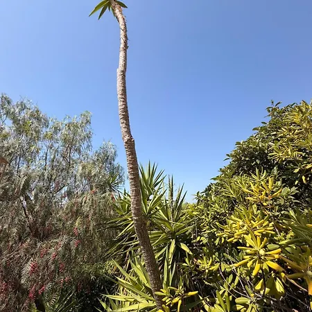 Vue Avec Piscine, Centre à Pieds *